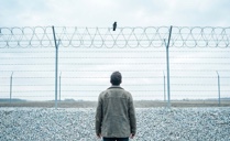 Find greater mental freedom