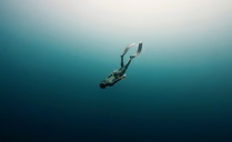 Dive below the surface